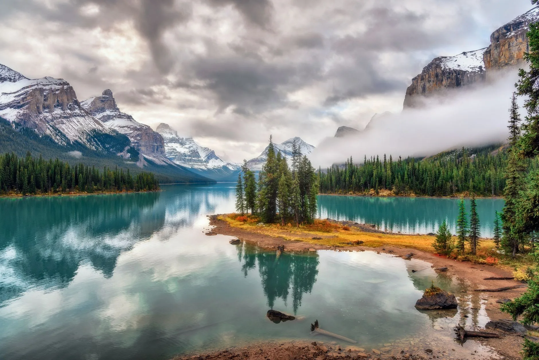 Jasper : plus sauvage, plus calme